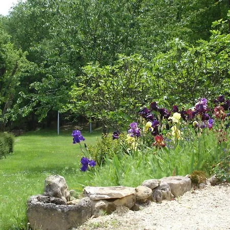 Prázdninový dům Charmante Maison En Pierre Avec Jardin Et Cheminee, Animaux Acceptes - Fr-1-616-174 *