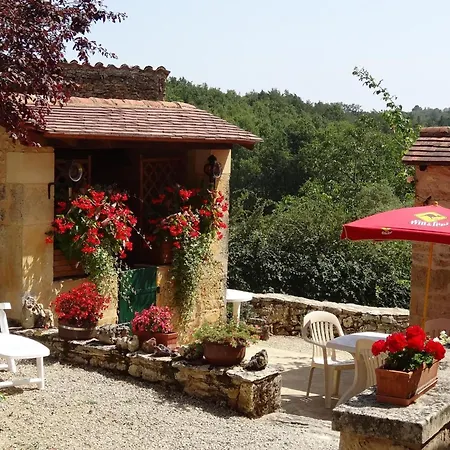 Charmante Maison En Pierre Avec Jardin Et Cheminee, Animaux Acceptes - Fr-1-616-174 *