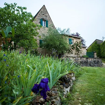 Maison En Pierre Avec Grand Jardin, Terrasse, Cheminee, Proche Des Sites Prehistoriques Des Eyzies - Fr-1-616-174 * La Mouthe