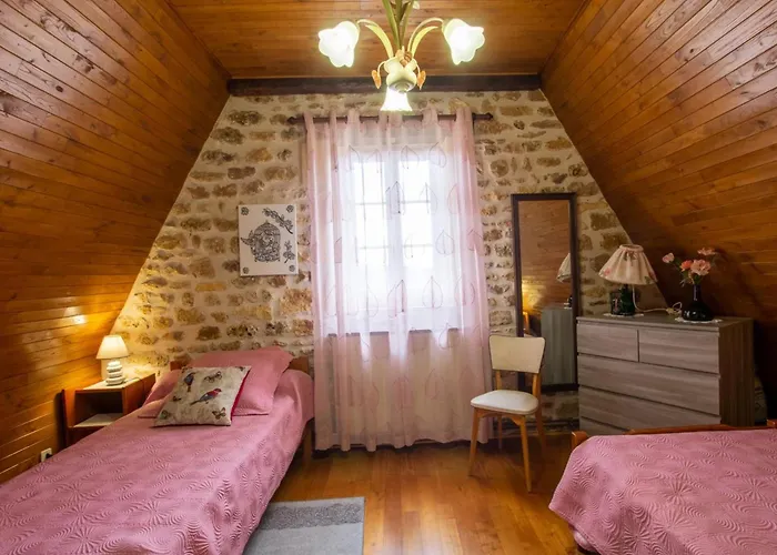 Charmante Maison En Pierre Avec Jardin Et Cheminée, Animaux Acceptés - Fr-1-616-174 *