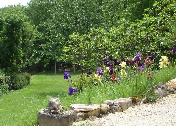 Tatil Evi Charmante Maison En Pierre Avec Jardin Et Cheminee, Animaux Acceptes - Fr-1-616-174 *