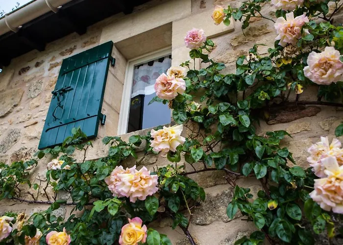 Charmante Maison En Pierre Avec Jardin Et Cheminee, Animaux Acceptes - Fr-1-616-174 *