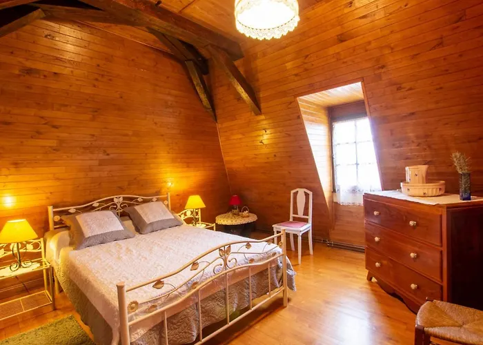 Charmante Maison En Pierre Avec Jardin Et Cheminee, Animaux Acceptes - Fr-1-616-174 Feriehus